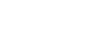 dvs-logo-white